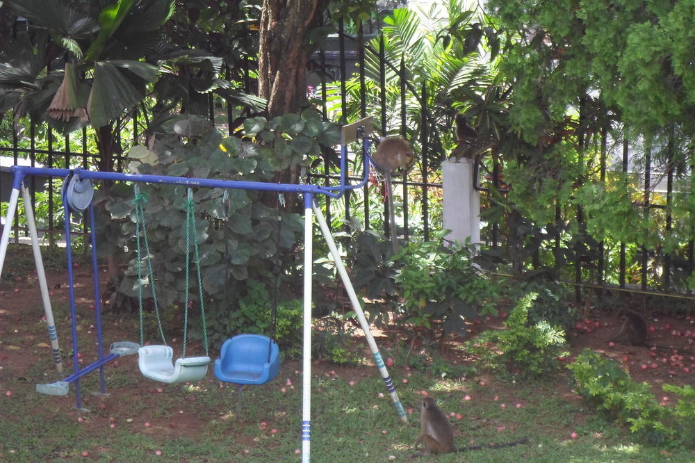 Kandy Green View Bungalow 외부 사진