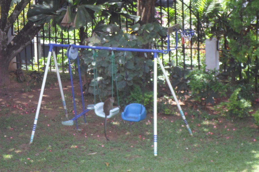 Kandy Green View Bungalow 외부 사진