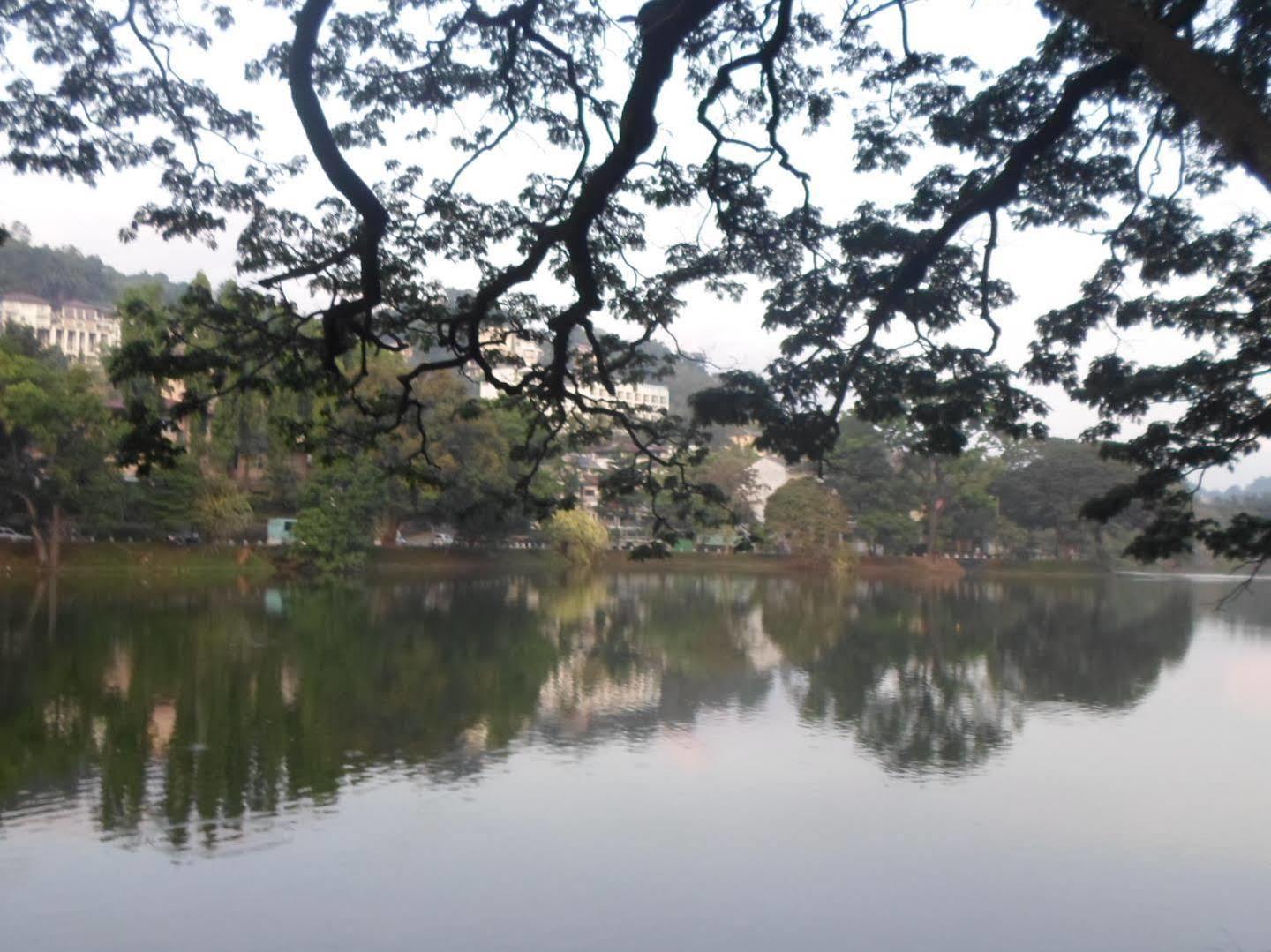 Kandy Green View Bungalow 외부 사진